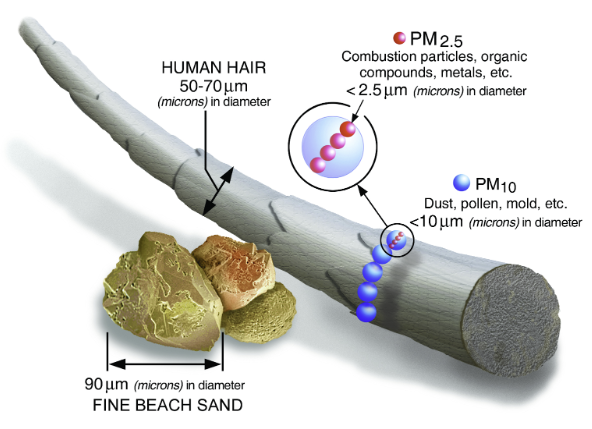 Particulate Matter